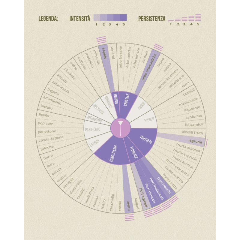 Tisana Leggerezza del Monte