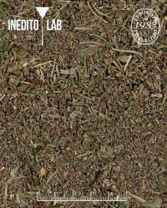 Erbe d'Oro - Inedito Lab 2