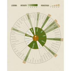 Tisana Menta & Liquirizia del Monte 2