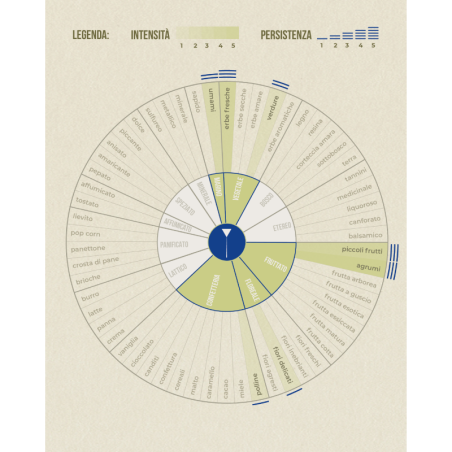 Tisana Petali del Monte