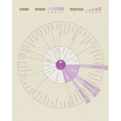 Tisana Pulmonaria del Monte
