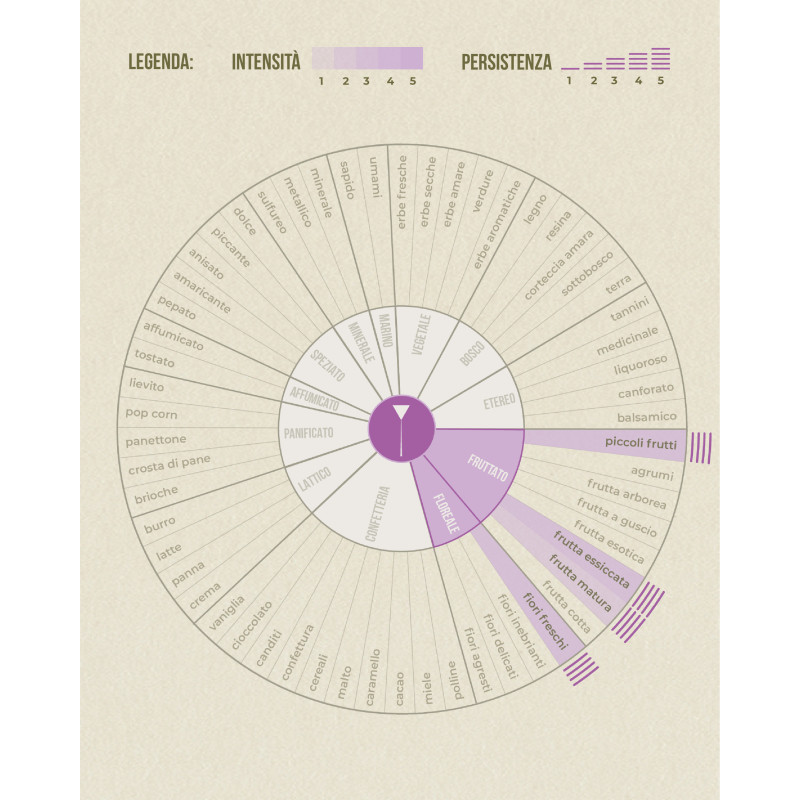 Tisana Pulmonaria del Monte