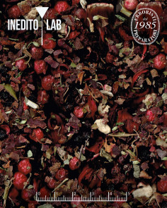 Tisana Linfa del Monte - Inedito Lab 2