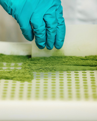 Equiseto del Monte Biologico - Inedito Lab