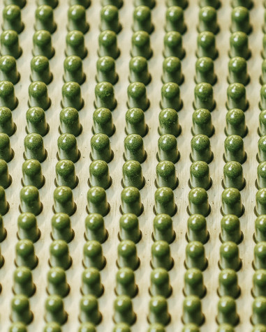 Equiseto del Monte Biologico - Inedito Lab
