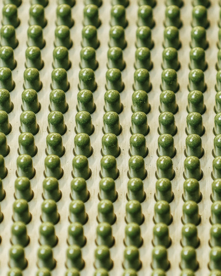 Equiseto del Monte Biologico - Inedito Lab