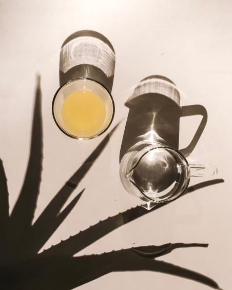 Aloe del Monte biologico - per il benessere gastrointestinale e della gola