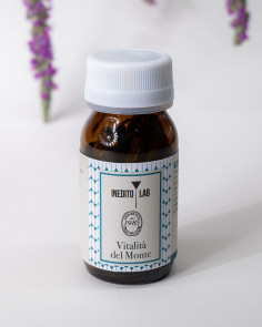 Vitalità del Monte