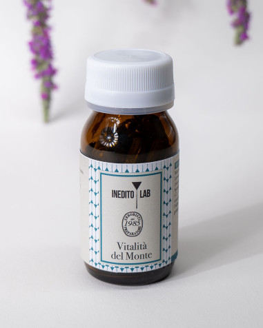 Vitalità del Monte