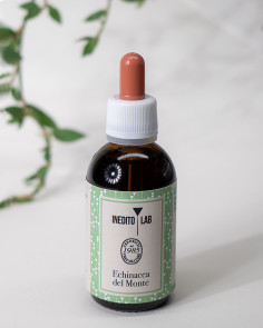 Echinacea del Monte  - per le naturali difese