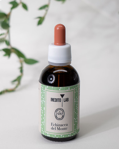 Echinacea del Monte  - per le naturali difese