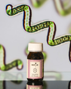 Spirulina del Monte bio 2