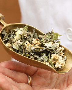 Le botaniche degli amari:  quando la necessità diventa convivialità