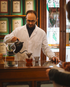 Le botaniche dell’energia: strategie officinali per affrontare stanchezza e stress