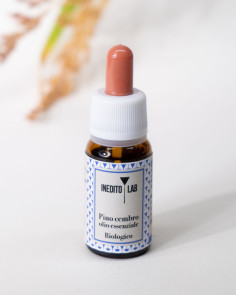 Pino Cembro Olio Essenziale Biologico - sentori di legno fresco
