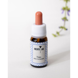 Box Ma Che Freddo Fa