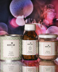 Reflora del Monte - Inedito Lab 2