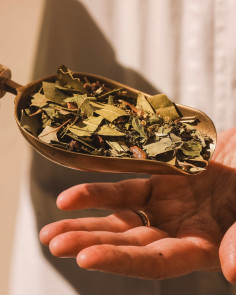 Liberi di respirare: piante officinali e prime vie aeree