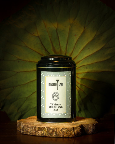 Inedito tea cLab: introduzione al tè bianco