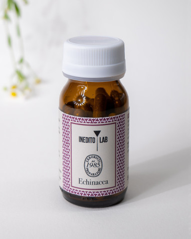 Echinacea del Monte