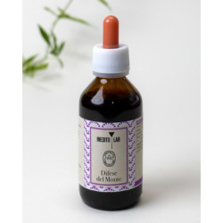 Caraffa infusione a freddo vetro 1L Kinto