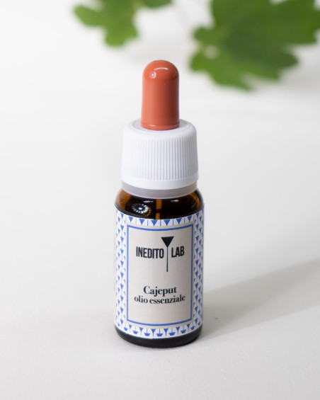 Cajeput olio essenziale - per il benessere digestivo e respiratorio