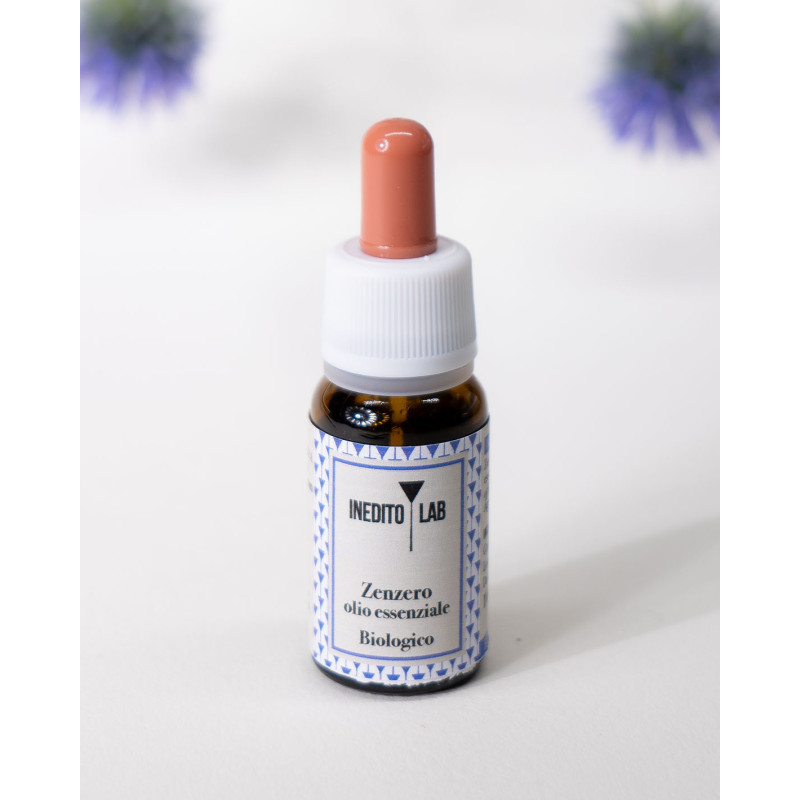 Dolce Transito del Monte