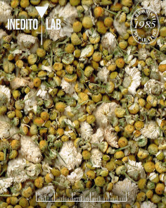 Tisana Camomille del Monte - Inedito Lab 2