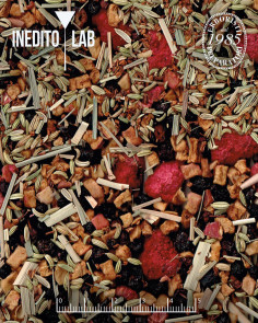 Tea rex - Inedito Lab 2