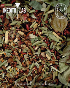 Tisana Via delle Spezie - Inedito Lab 2