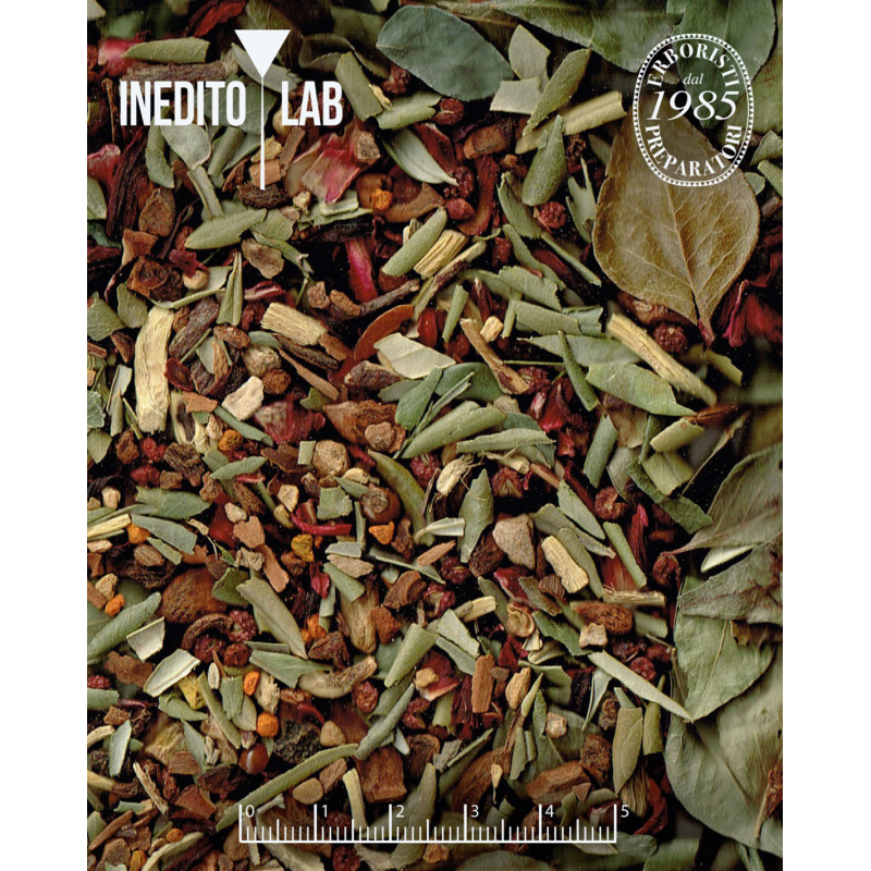 Filtro infusore da appoggio con coperchio ø 5,5 cm