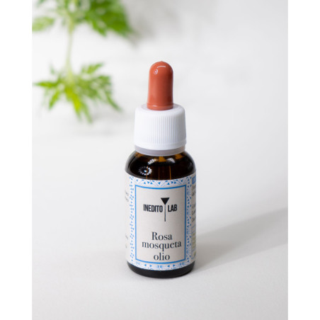 Introduzione all’erboristeria: parte 2