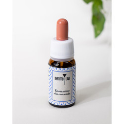 Le botaniche degli amari:  quando la necessità diventa convivialità 2