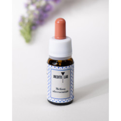 Le botaniche dell’energia: strategie officinali per affrontare stanchezza e stress 2