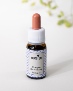 Ginepro olio essenziale bio - per il benessere gastrointestinale