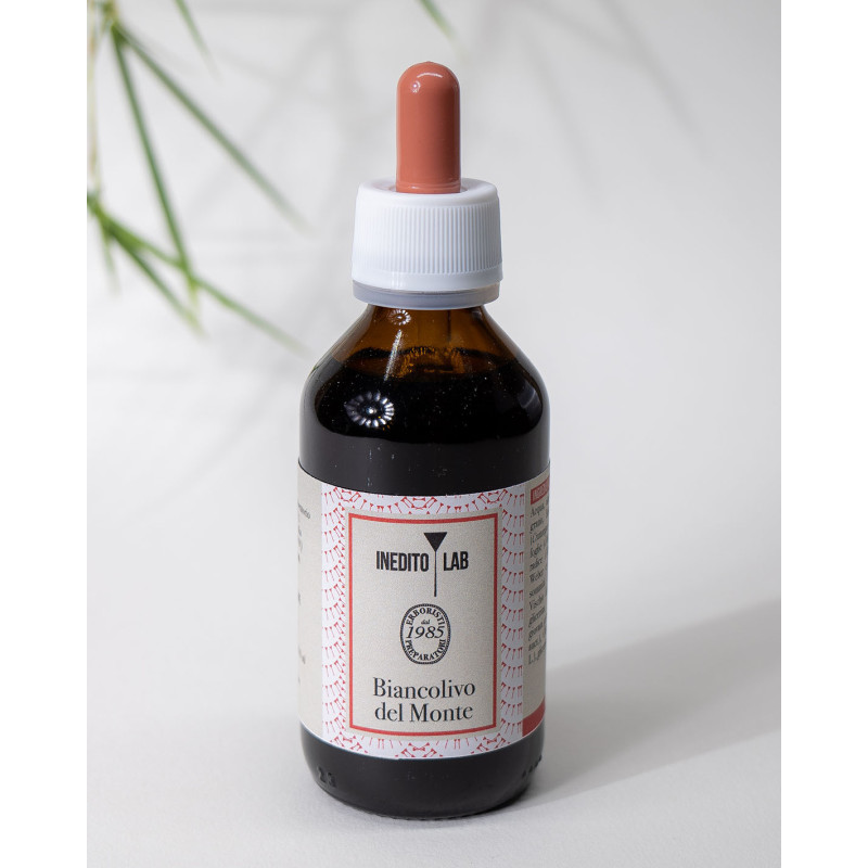 Linfa di Betulla del Monte