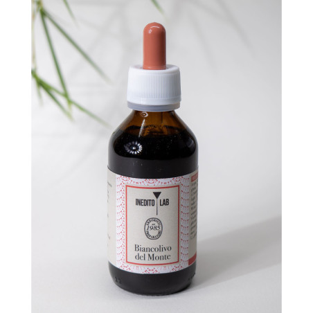 Linfa di Betulla del Monte