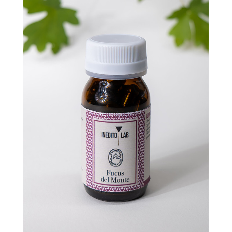 Lupinella del Monte Biologico