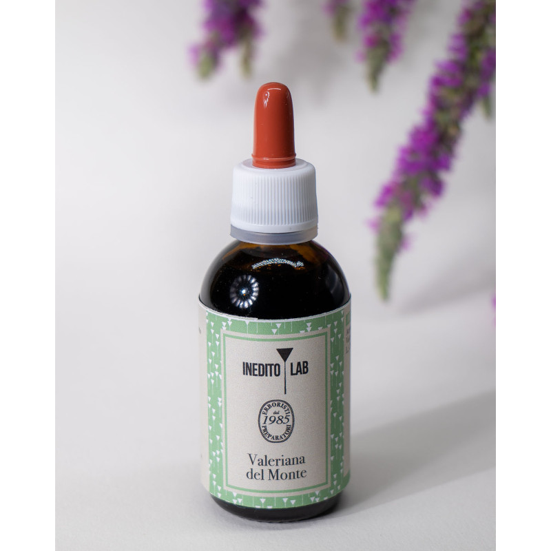 Mandorle Dolci Olio Biologico