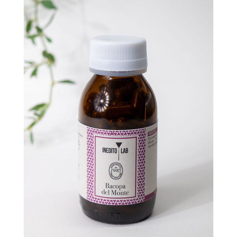 Matricaria del Monte