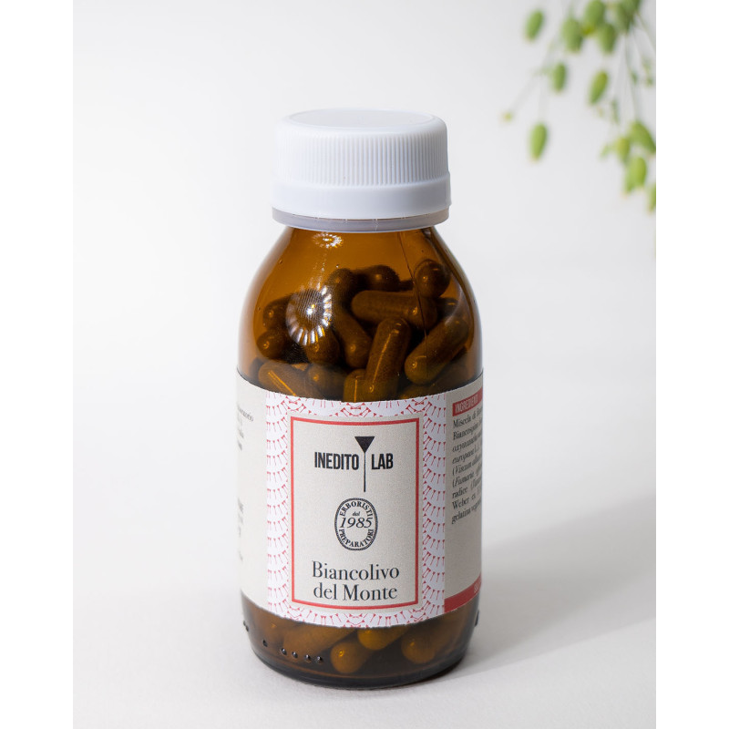 Matricaria del Monte