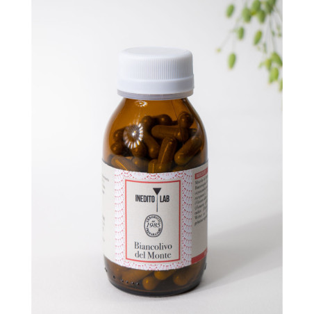 Matricaria del Monte