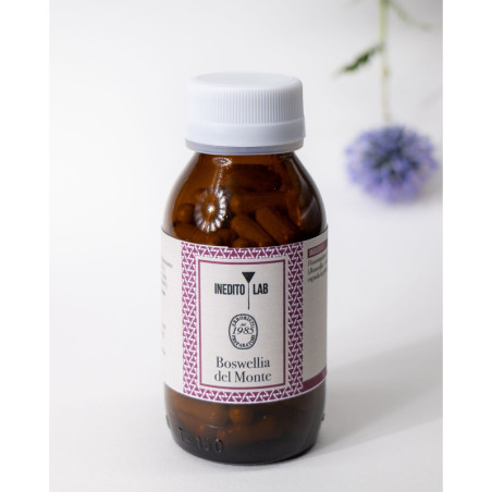 Matricaria del Monte