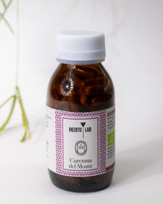 Curcuma del Monte - Inedito Lab