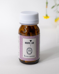 Rosa Canina del Monte - Inedito Lab