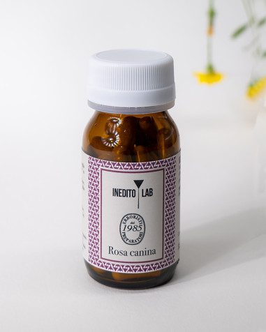 Rosa Canina del Monte - Inedito Lab