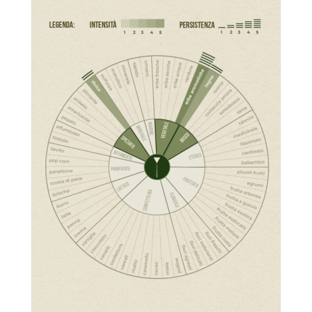 Mug Inedito Lab Lampone