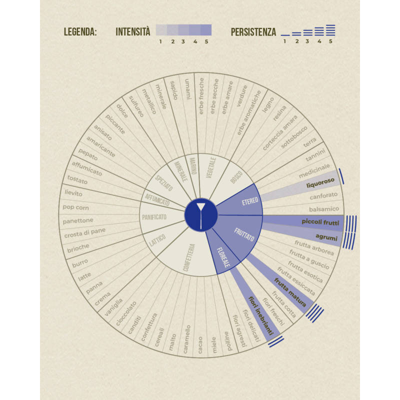 Mug Inedito Lab Muschio