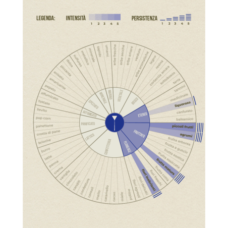 Mug Inedito Lab Muschio
