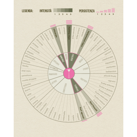 Mug Inedito Lab Ottanio